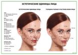 Эстетические единицы лица