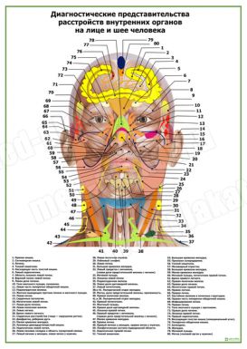 Диагностические представительства расстройств на лице и шее человека