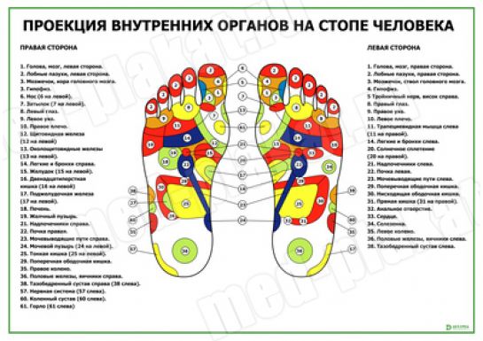 Проекция внутренних органов на стопе человека, акупунктурные точки на ногах