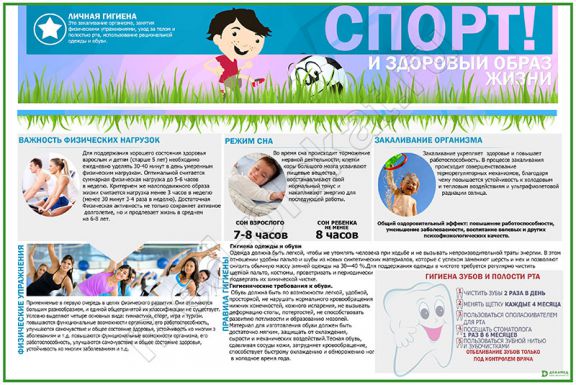 Спорт и здоровый образ жизни