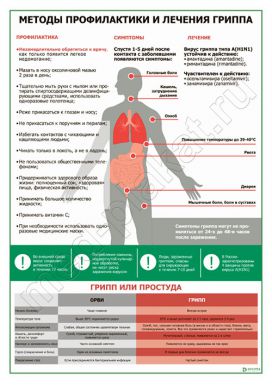 Методы профилактики и лечения гриппа