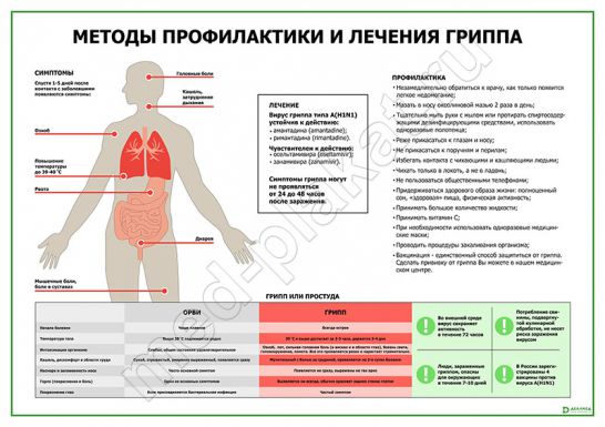 Методы профилактики и лечения гриппа (горизонтальный)
