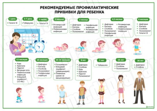 Рекомендуемые профилактические прививки для ребенка