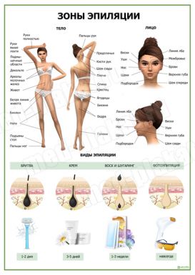 Зоны эпиляции